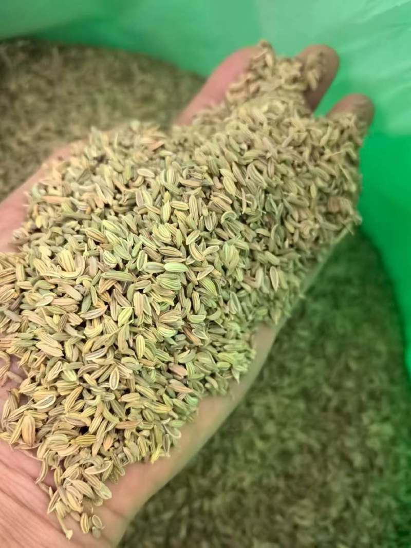 进口小茴香大货价5元/斤