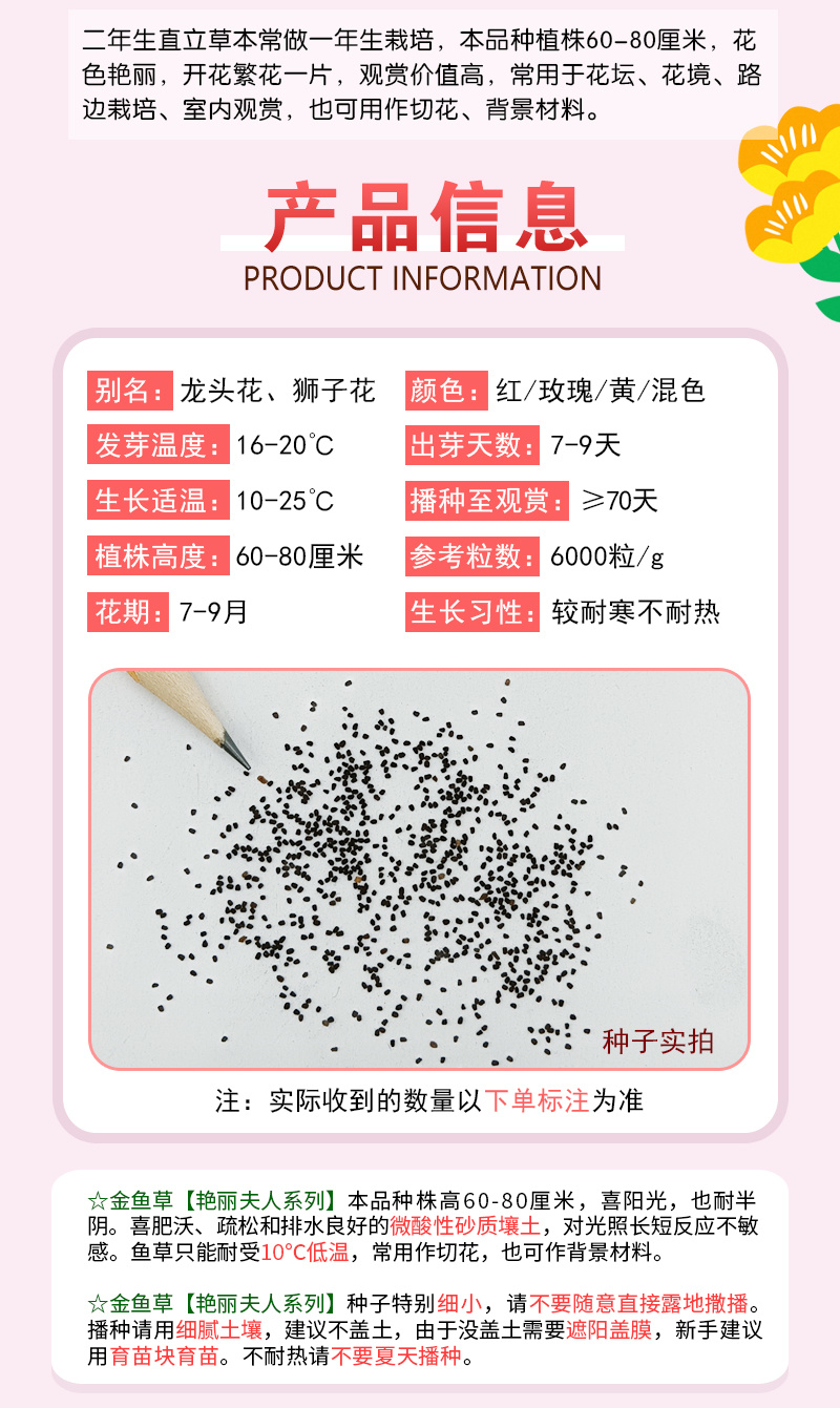 【精品】艳丽金鱼草种子龙头花狮子花洋彩雀可切花金鱼草种子