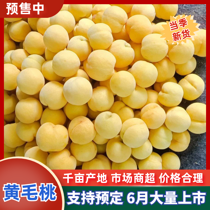 黄毛桃，正宗蒙阴蜜桃海量货源，可对接全国批发市场，商超