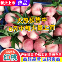 北京八号，九号，大红桃，大量上市，大量上市
