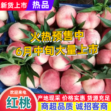 北京八号，九号，大红桃，大量上市，大量上市