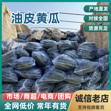 油皮黄瓜大量有货有需要的老板联系量大从优