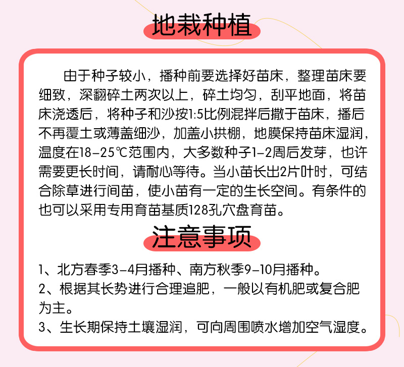 【精品】科西嘉薄荷种子清凉小叶易活地被香草种籽匍匐垂吊盆