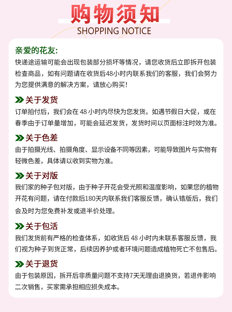 【精品】科西嘉薄荷种子清凉小叶易活地被香草种籽匍匐垂吊盆