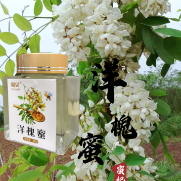 陕西槐花蜜洋槐蜜一手货源全国发货鲜蜜直发可视频
