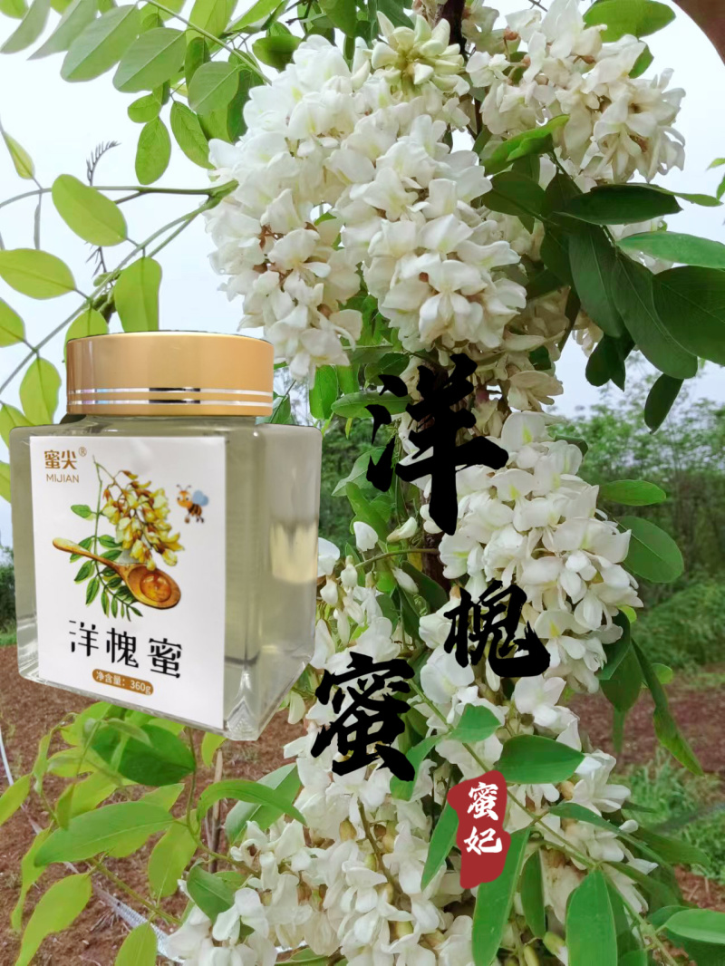 陕西槐花蜜洋槐蜜一手货源全国发货鲜蜜直发可视频