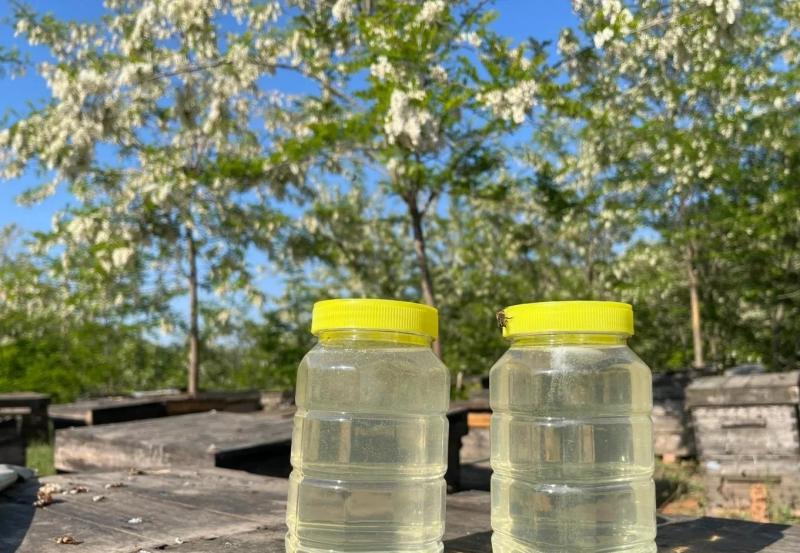 陕西槐花蜜洋槐蜜一手货源全国发货鲜蜜直发可视频