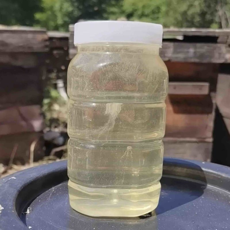 陕西槐花蜜洋槐蜜一手货源全国发货鲜蜜直发可视频