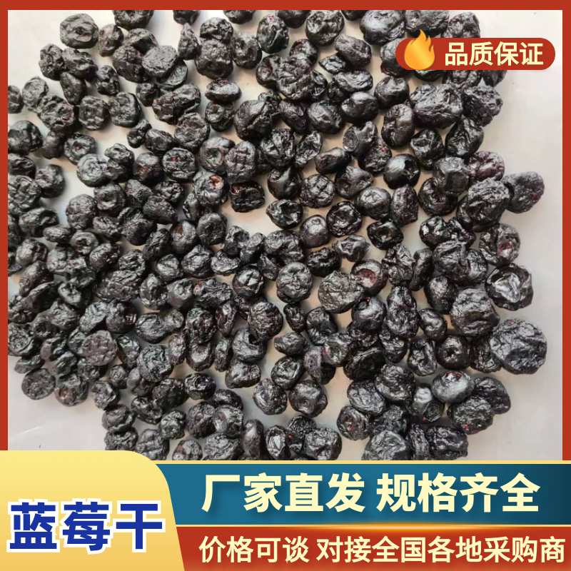 精选蓝莓干厂家直供保质保量对接电商平台社区团购等