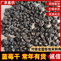 长白山蓝莓干各种品质都有产地直供保质保量对接全国