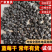 长白山蓝莓干各种品质都有产地直供保质保量对接全国