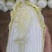 云南娃娃菜大娃娃菜蔬菜交通便利，品种、规格齐全欢迎电联