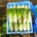 黄心白菜大白菜上市中保质保量价格实惠全国发货欢迎联系
