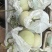 沧州玉菇甜瓜大量上市，质优价廉对接超市批发市场全国发货