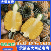 海南芒果凤梨新鲜采摘比金钻更甜支持一件发各大电商