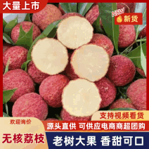 陵水桂花香荔枝即将上市支持各大平台代发团购整车