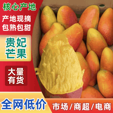 海南贵妃芒树上熟承接一件代发支持各电商平台