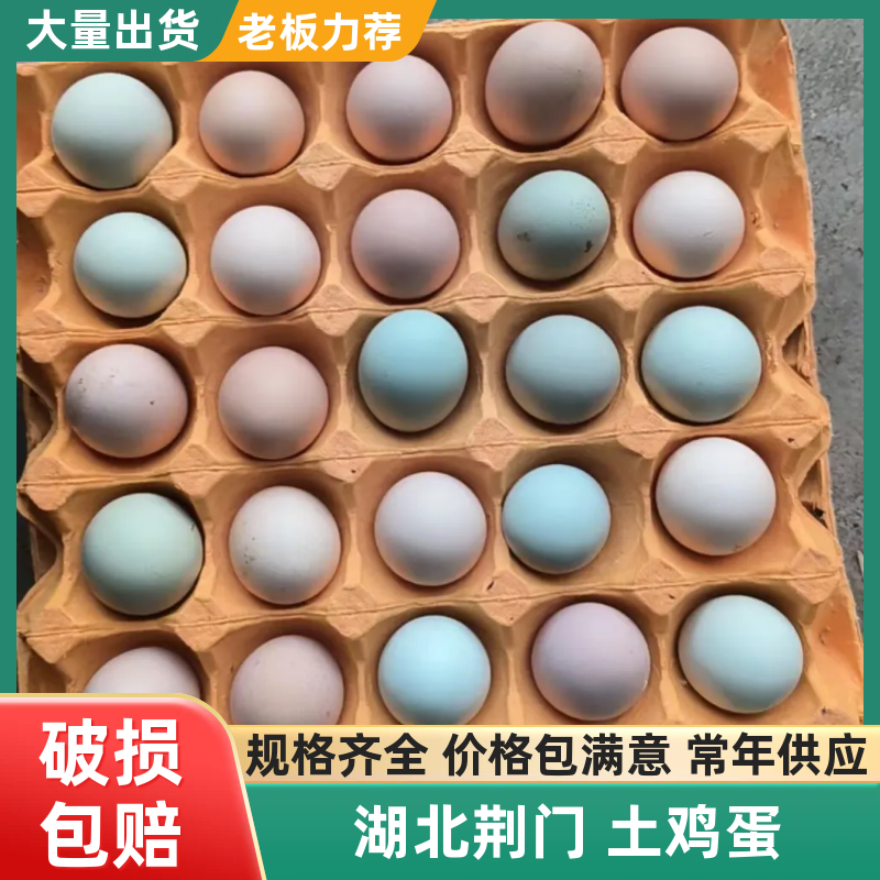 湖北散养土鸡蛋/货源充足/保质保量/诚信经营/量大从优