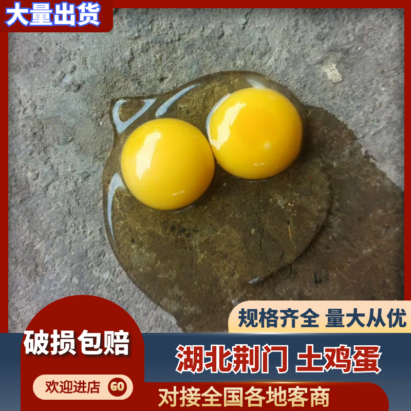 湖北散养土鸡蛋/货源充足/保质保量/诚信经营/量大从优