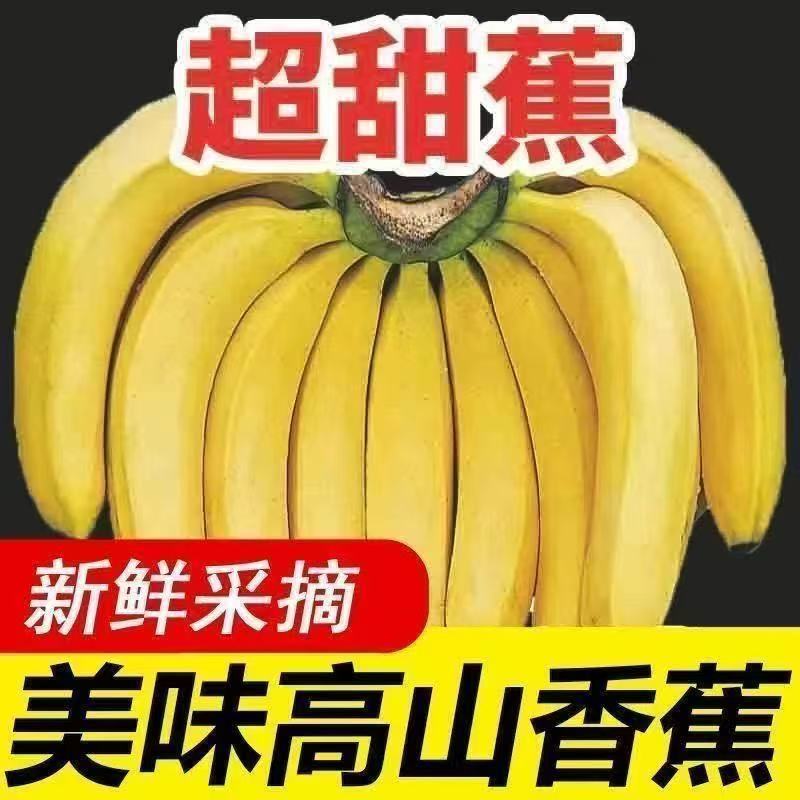 实力供应链一件代发高山香蕉高品质**价格