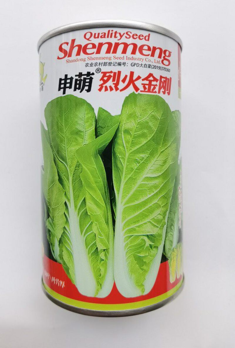 烈火金刚快菜种子耐热耐湿抗热速生快菜蔬菜种子