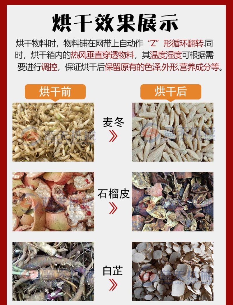 网带麦冬烘干机麦门冬川麦冬寸冬烘干设备麦冬烘烤机