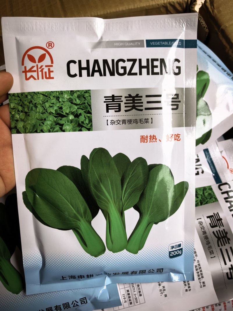 青美三号鸡毛菜种子耐热耐湿杂交上海青夏秋绿梗速生青梗菜种