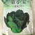 小青仔苏州青种子墨小宝矮颗黑叶小青菜耐寒秋冬矮脚苏州青种
