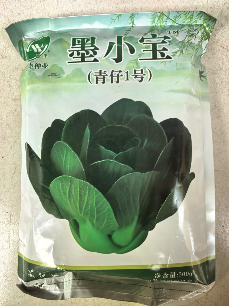 小青仔苏州青种子墨小宝矮颗黑叶小青菜耐寒秋冬矮脚苏州青种