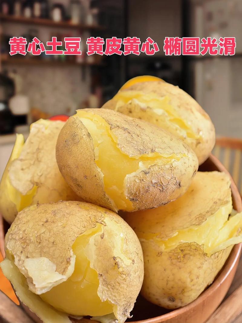 山东平阴V7土豆/个大圆滑/产地直发量大从优/货源充足
