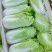 北京新三号白菜4~6斤净菜/货源充足/量大价优/欢迎联系