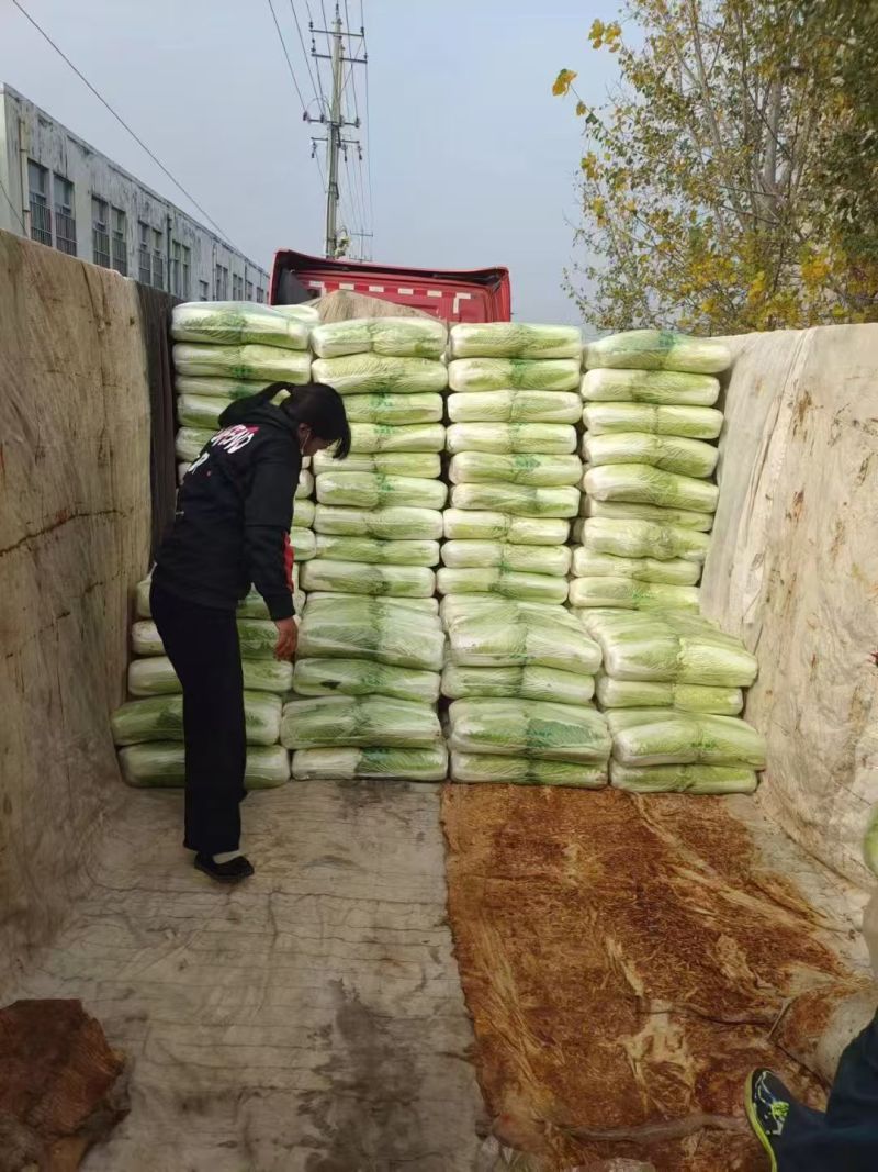 北京新三号白菜4~6斤净菜/货源充足/量大价优/欢迎联系