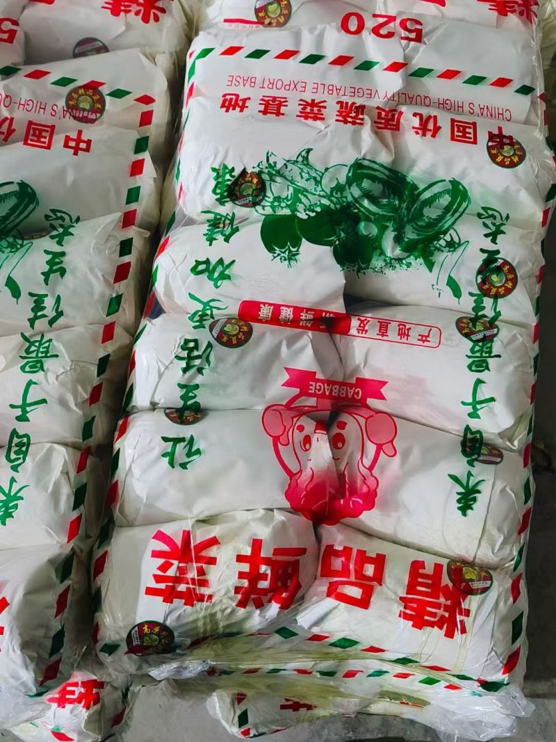 北京新三号白菜4~6斤净菜/货源充足/量大价优/欢迎联系