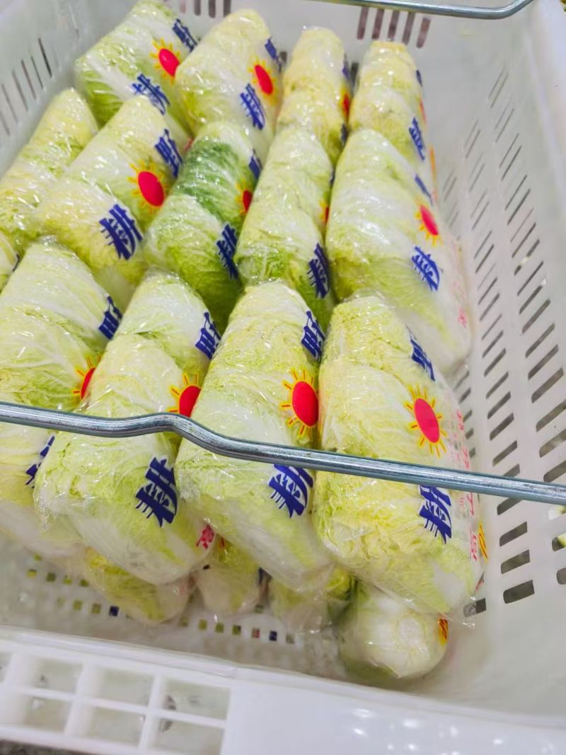 北京新三号白菜4~6斤净菜/货源充足/量大价优/欢迎联系