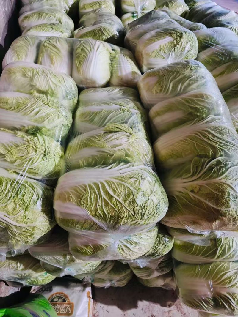 北京新三号白菜4~6斤净菜/货源充足/量大价优/欢迎联系