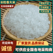 东北富硒大米长粒香米东北香米2025新米一件代发包邮