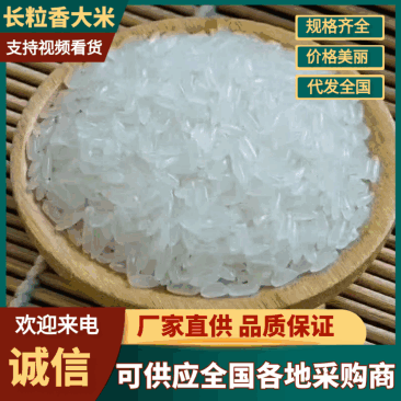 东北大米黑龙江大米现磨鲜米支持一件代发包邮价