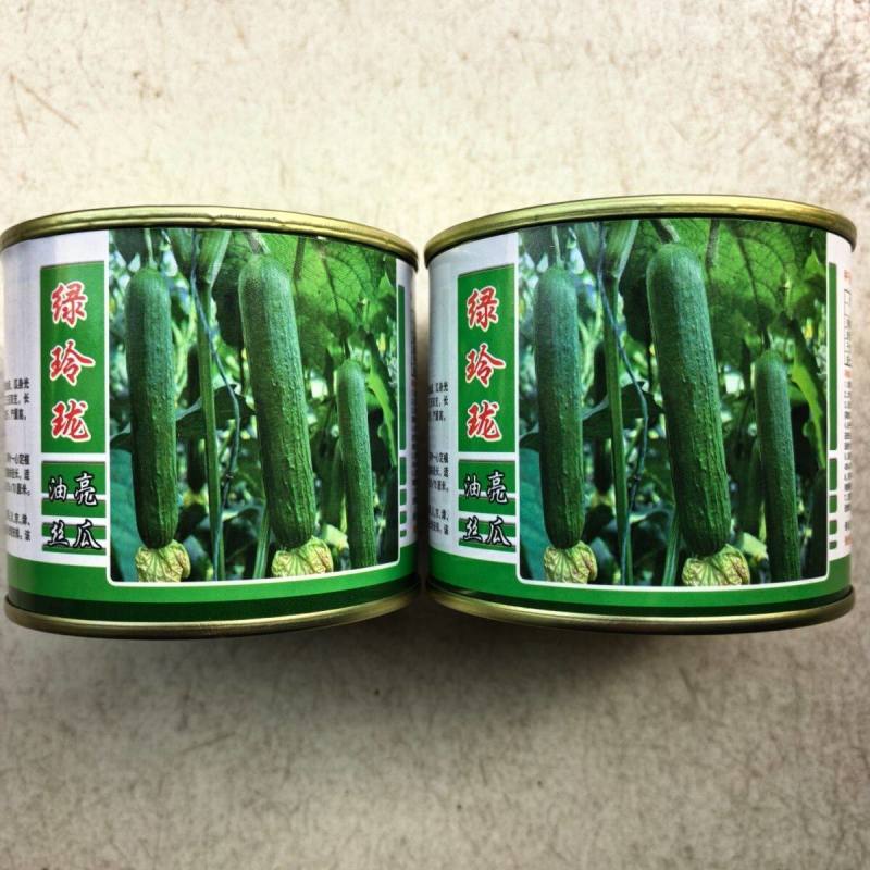 短棒丝瓜种子绿玲珑早熟油绿肉丝瓜耐寒耐热露地短粗香丝瓜种