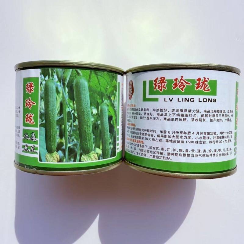 短棒丝瓜种子绿玲珑早熟油绿肉丝瓜耐寒耐热露地短粗香丝瓜种