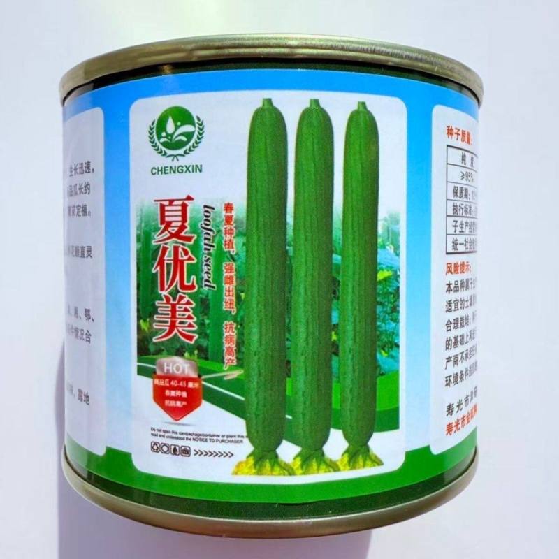 夏优美长丝瓜种子强磁长棒耐热肉丝瓜高产顺直翠绿春夏丝瓜种