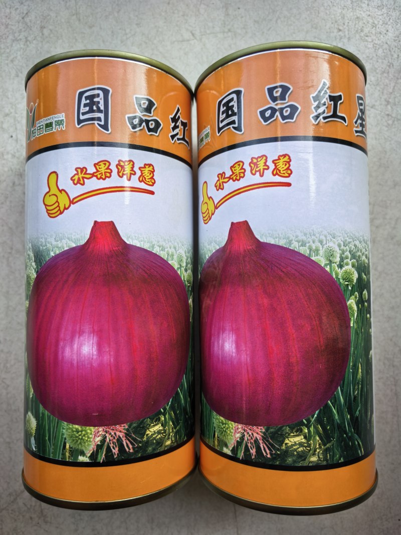 水果洋葱种子国品红星中熟高产厚扁紫红皮耐抽苔甜脆洋葱种子