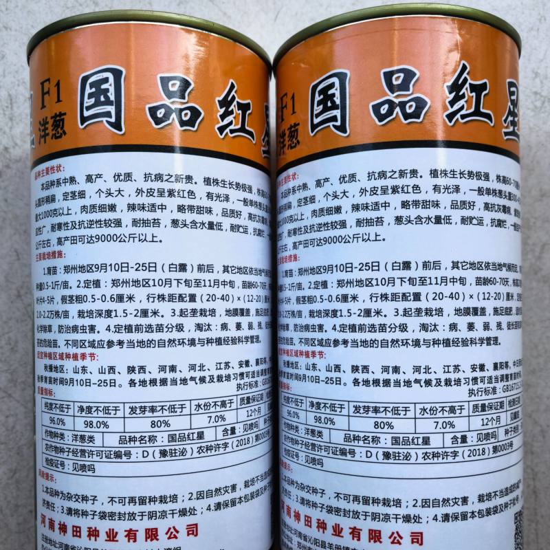 水果洋葱种子国品红星中熟高产厚扁紫红皮耐抽苔甜脆洋葱种子