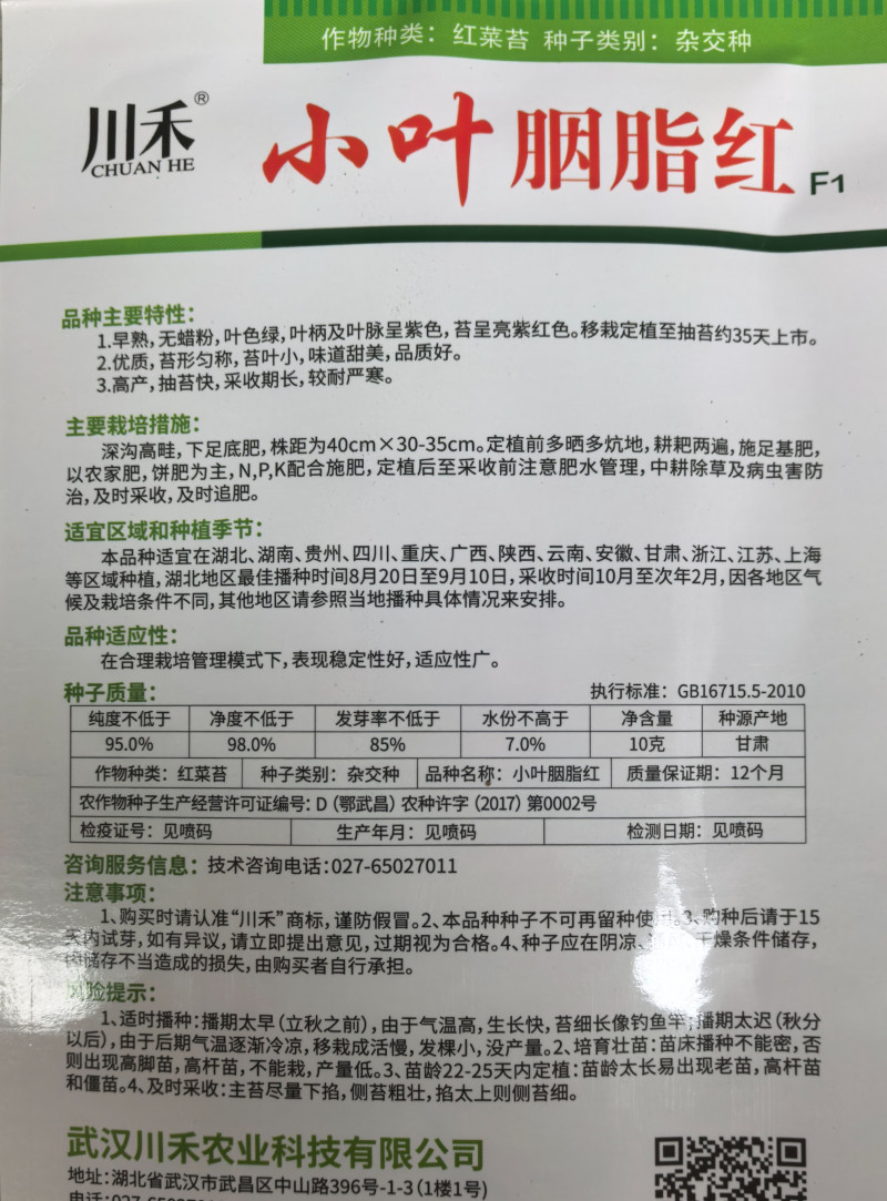 小叶胭脂红种子杂交紫红菜薹苔菜早熟耐寒无粉腊苔菜蔬菜种子