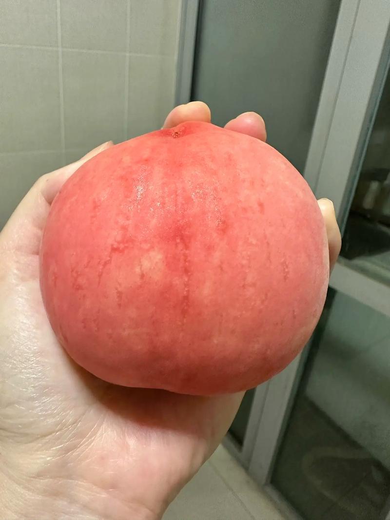 襄阳精品霸王脆毛桃/产地直发/货源充足/价格便宜/欢迎联系