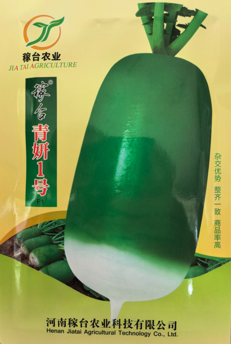 杂交青萝卜种子青妍一号青皮绿肉甜脆高产秋播耐寒白萝卜种子