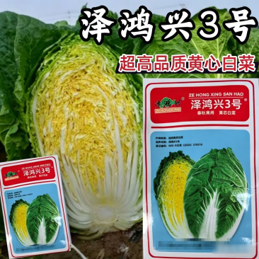泽鸿兴3号黄芯白菜种子耐抽苔春秋55天黄心大白菜蔬菜种子