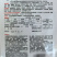 水果甘蓝种子中甘101生吃甜脆扁圆球薄皮黄心甘蓝包菜种子