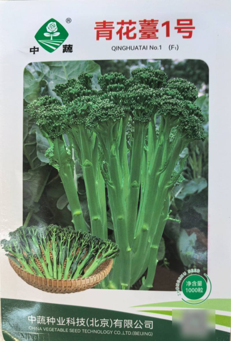 青花薹1号西兰苔种子芥兰青花菜西蓝花菜苔芥蓝春秋季蔬菜种