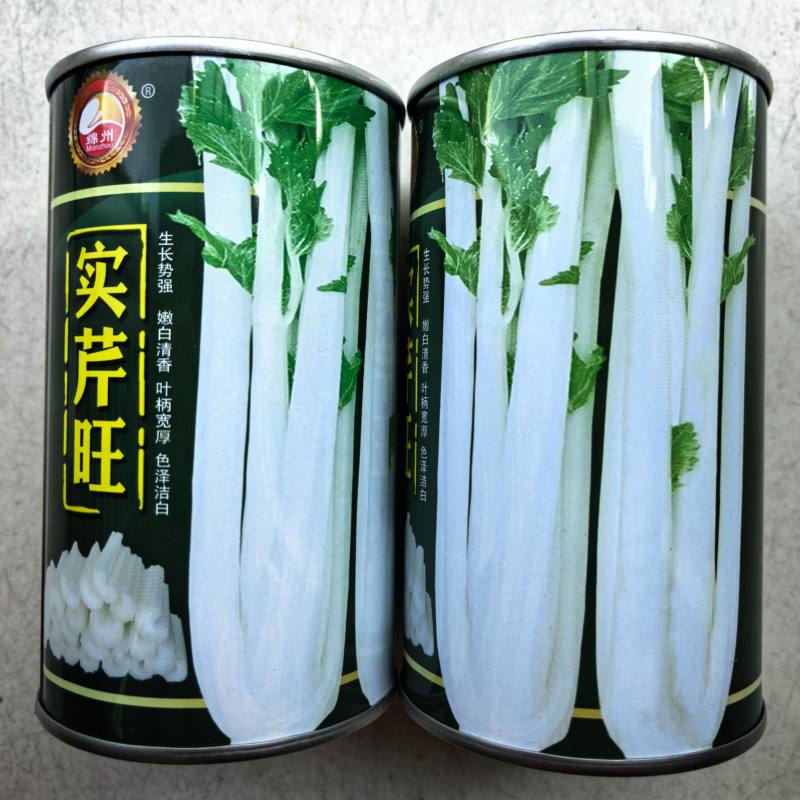 铁杆白实芹菜种子棉蔬实心白芹菜小香芹四川耐热四季西芹种子