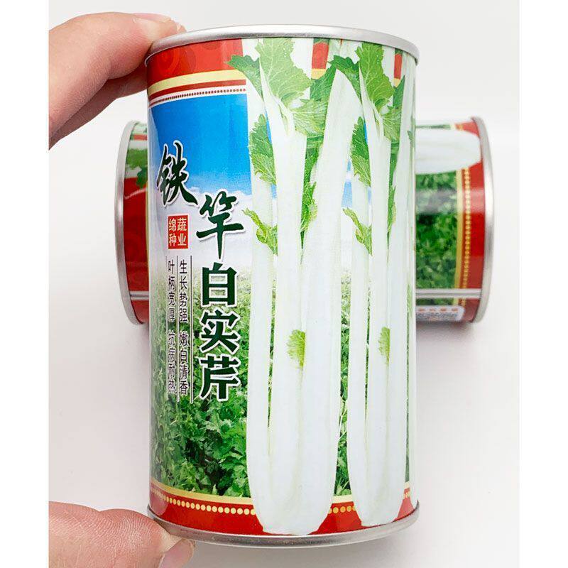 铁杆白实芹菜种子棉蔬实心白芹菜小香芹四川耐热四季西芹种子
